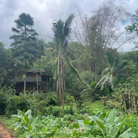Caoni Riverside Lodge Puerto Quito Εξωτερικό φωτογραφία