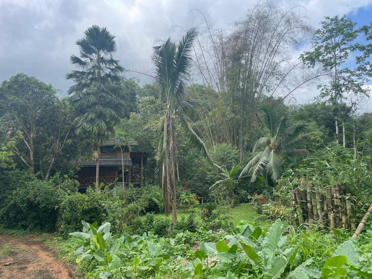 Caoni Riverside Lodge Puerto Quito Εξωτερικό φωτογραφία