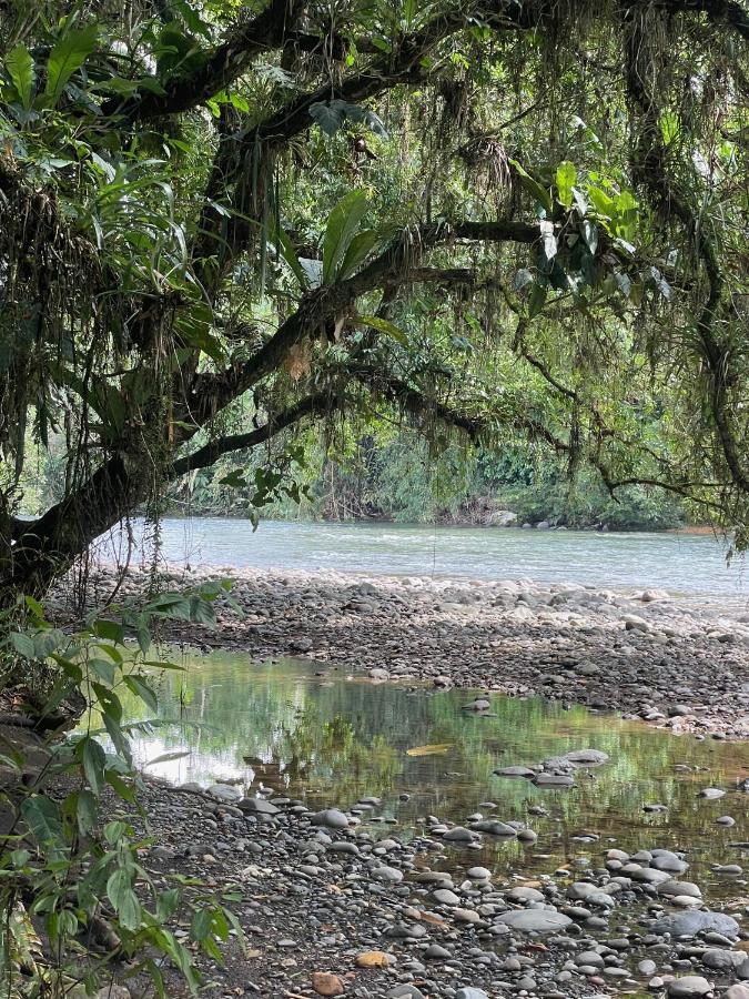 Caoni Riverside Lodge Puerto Quito Εξωτερικό φωτογραφία