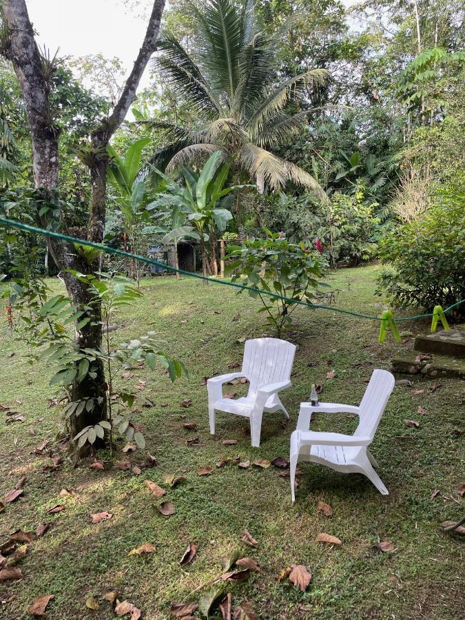 Caoni Riverside Lodge Puerto Quito Εξωτερικό φωτογραφία